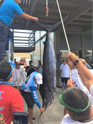 279 lb marlin Loreto