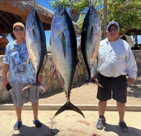 Baja Fishing