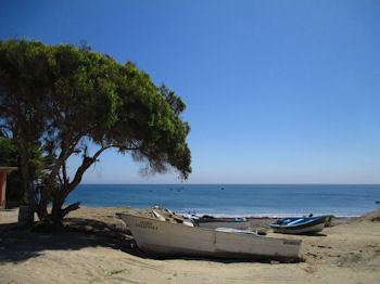 Bahia Asuncion Baja