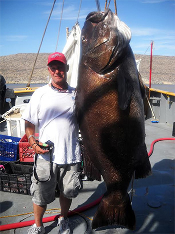 Sea of Cortez Fishing