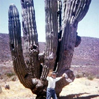 Driving to Cabo in 1966