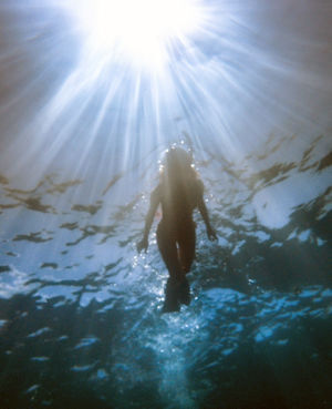 Snorkeling in Cabo Pulmo Baja Sur