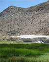 Las Flores Ghost Town