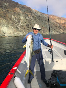 Baja Summer Fishing