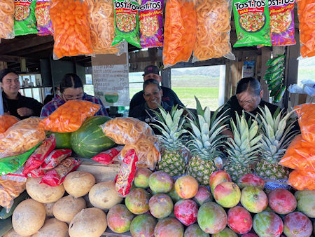 Cocos Santa Rosa Baja 