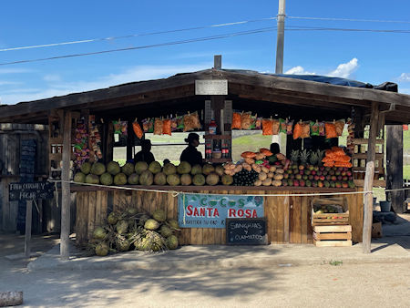 Cocos Santa Rosa Baja