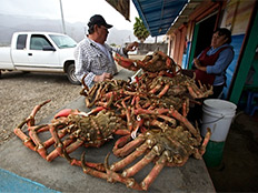 Jesse & Sons crabs