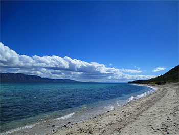 Baja Beach