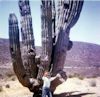 Driving to Cabo in 1966