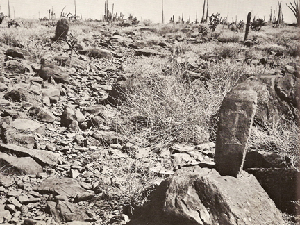 El Camino Real Marker