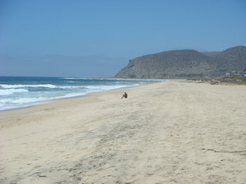 El Pescadero Baja