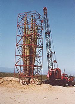 Cardón Cactus - World's Fair