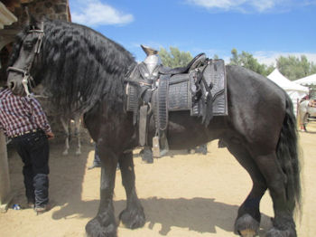 Festival del Caballo Baja