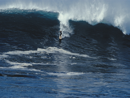 Gary Linden XXL Todos Santos