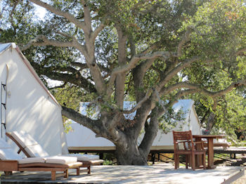 Glamping Baja