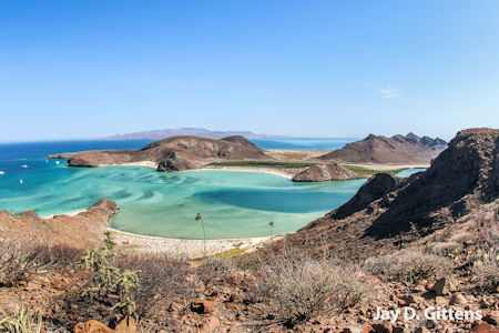 Balandra Beach La Paz