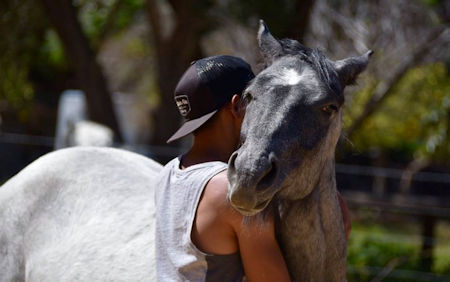 Horse Whisperer La Misión