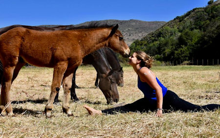 Horse Whisperer La Misión