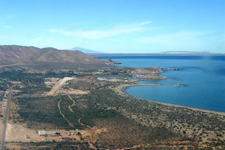 Sea of Cortez Mulegé