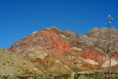 Isla Angel de la Guarda