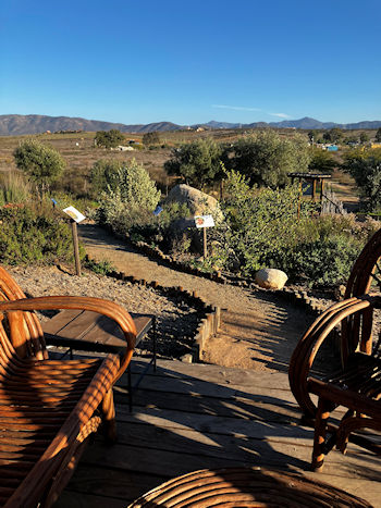 Jardin de Mistela Pijoan Baja