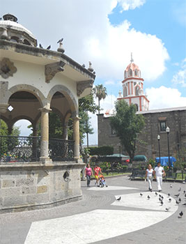 Jardin Hidalgo