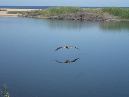 Laguna La Poza Todos Santos Baja California Sur