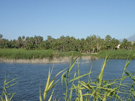 Laguna La Poza Todos Santos Baja California Sur