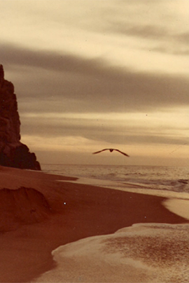 Cabo land's end