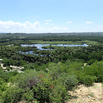 The Living Desert