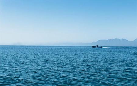 Sea of Cortez Baja