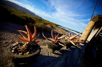 Baja Road Trip