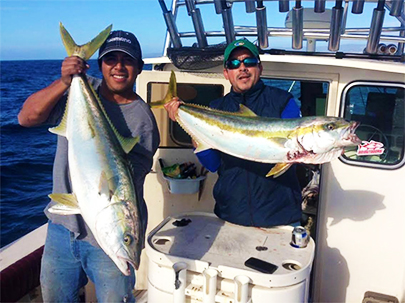 Ensenada Fishing - Yellowtail