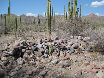 Magdalena Rock Pile