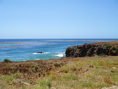 Baja Marine Terrace