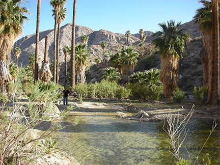 Mission Santa Maria Oasis