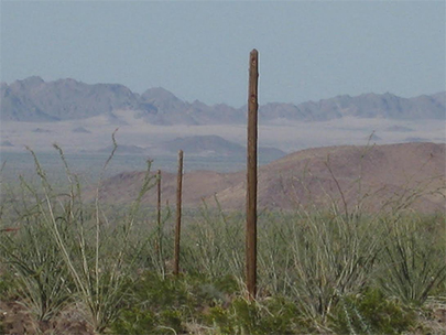 Pole Line Road Baja