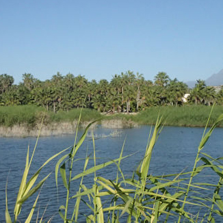 Laguna La Poza: A Coastal Oasis