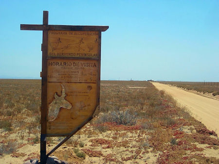 Agua Dulce oasis