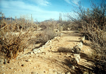 Railroad Bed