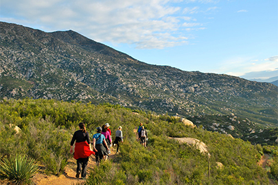 Rancho La Puerta grounds