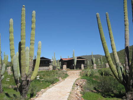 Rancho El Sauce Baja