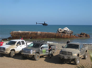 Raptors at Punta San Jacinto