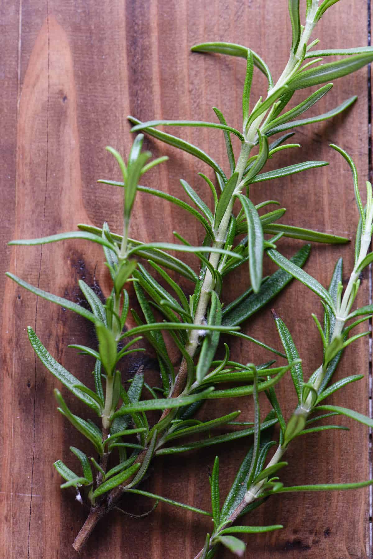 Overhead photo of fresh needly herb sprigs on wooden table.