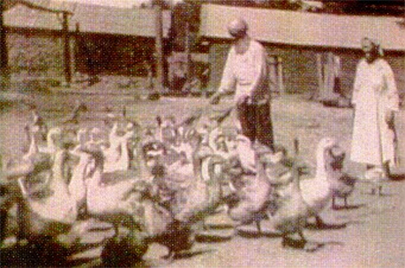 Samarin Family - Guadalupe Valley Baja