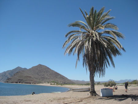 San Bruno Beach Baja