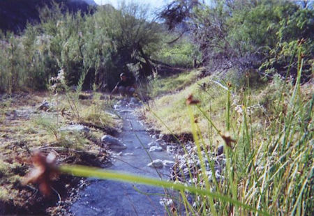 San Felipe Agua Caliente