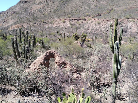 San Pablo Mission Baja