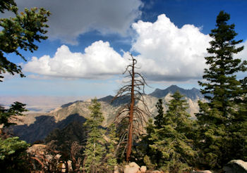 San Pedro Martir Baja