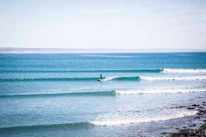 Scorpion Bay Surf